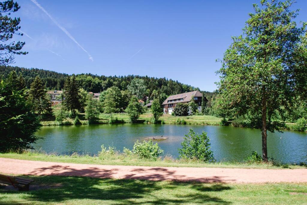 Ferienwohnung "Am Skilift" Herrischried Zewnętrze zdjęcie