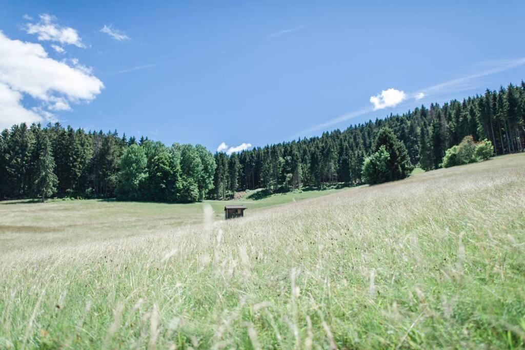 Ferienwohnung "Am Skilift" Herrischried Zewnętrze zdjęcie