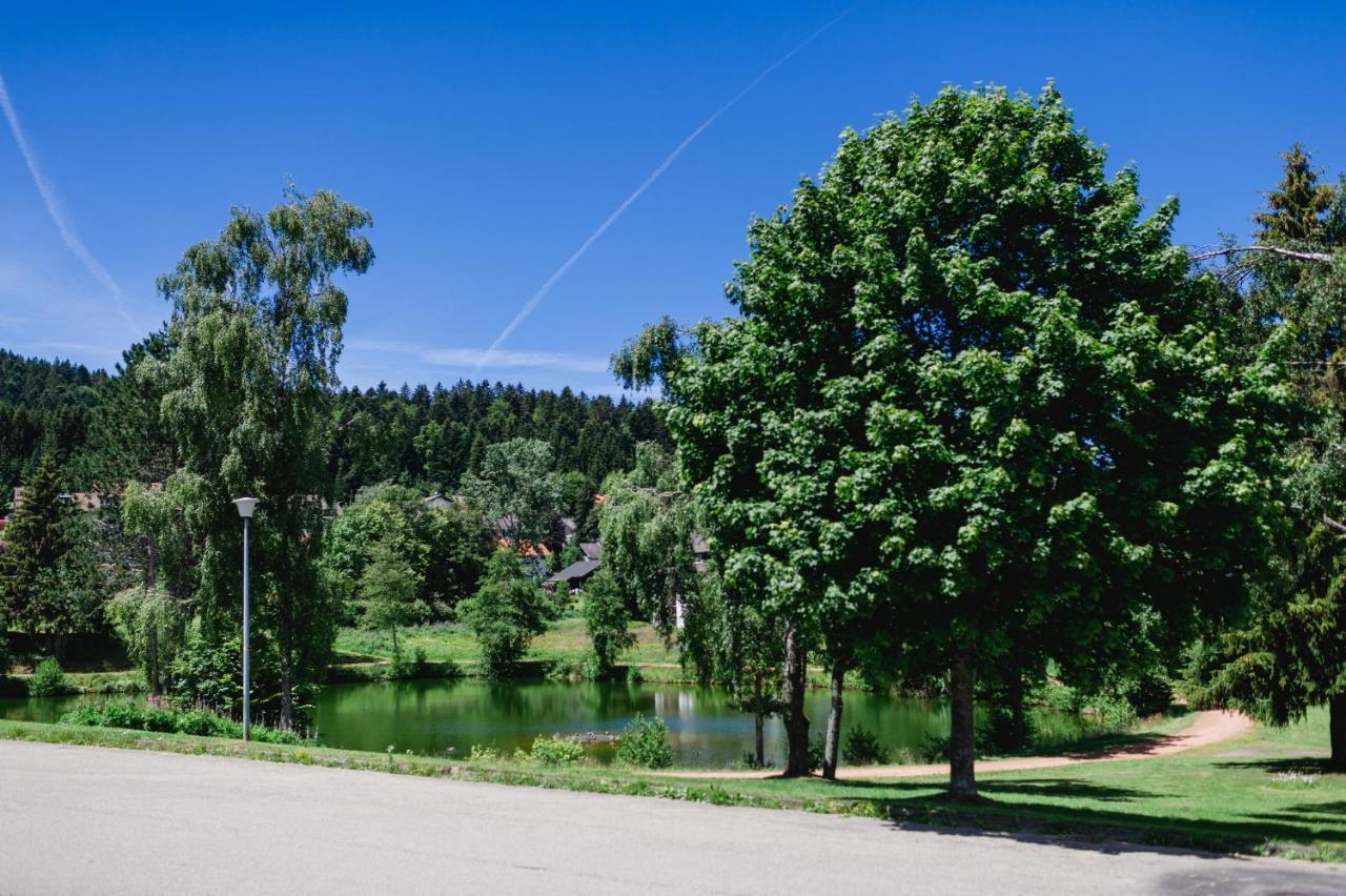Ferienwohnung "Am Skilift" Herrischried Zewnętrze zdjęcie