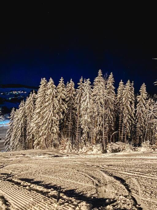 Ferienwohnung "Am Skilift" Herrischried Zewnętrze zdjęcie