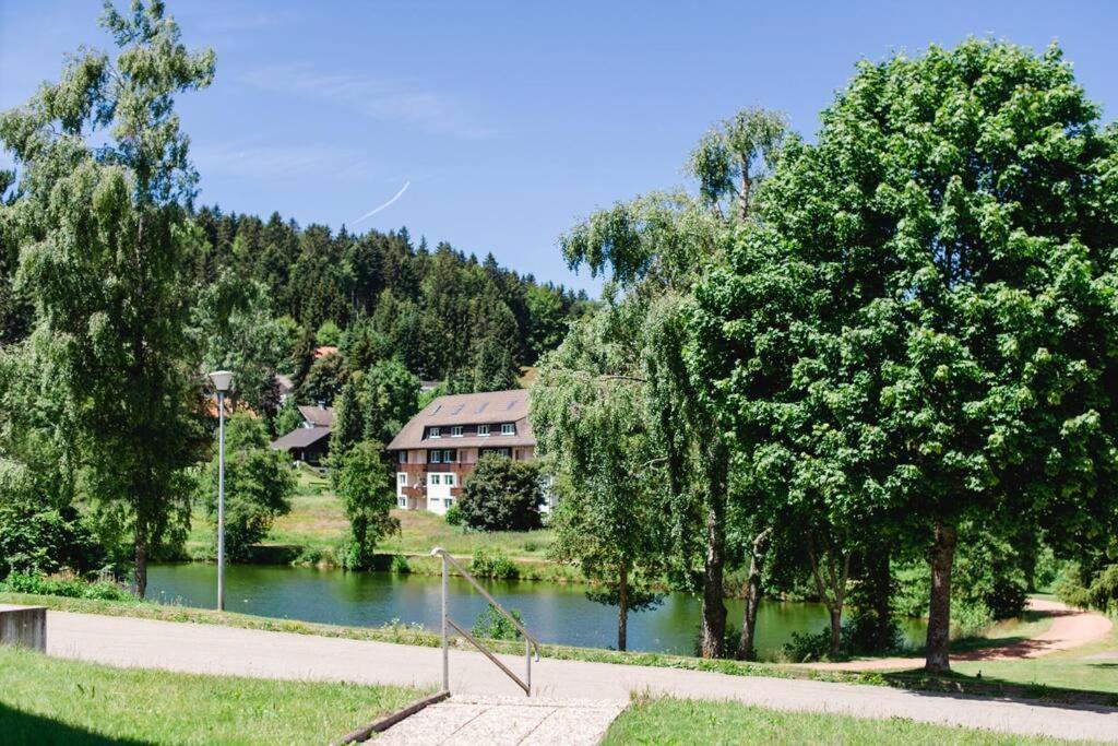 Ferienwohnung "Am Skilift" Herrischried Zewnętrze zdjęcie
