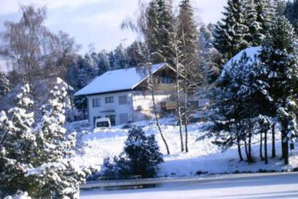 Ferienwohnung "Am Skilift" Herrischried Zewnętrze zdjęcie