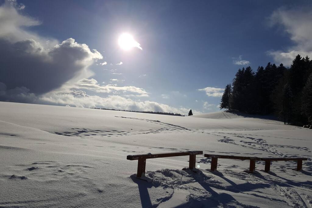 Ferienwohnung "Am Skilift" Herrischried Zewnętrze zdjęcie