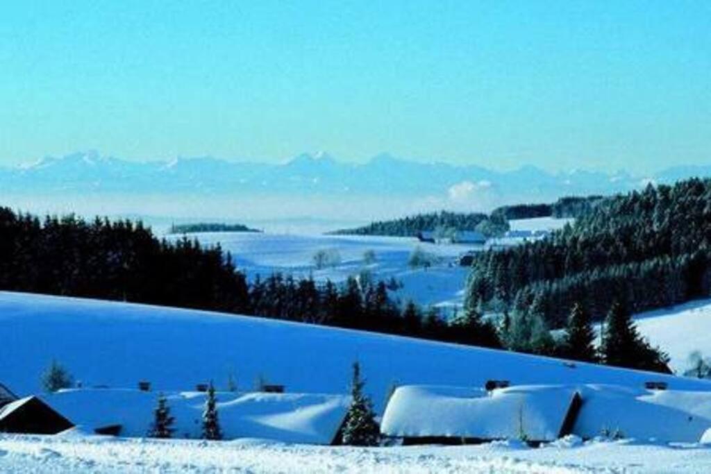 Ferienwohnung "Am Skilift" Herrischried Zewnętrze zdjęcie