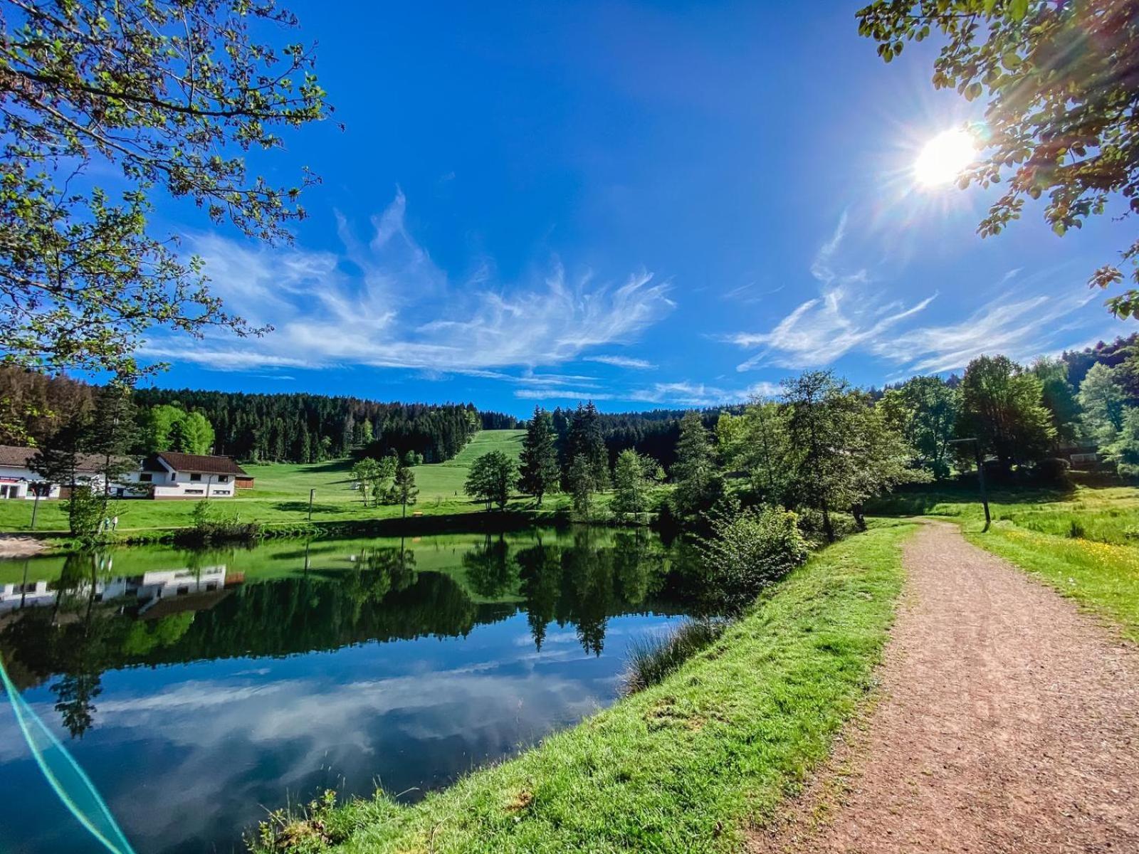 Ferienwohnung "Am Skilift" Herrischried Zewnętrze zdjęcie